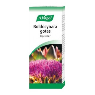 A. Vogel Boldocynara Gotas 100Ml