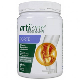 Artilane Forte Polvo 220 G Opko