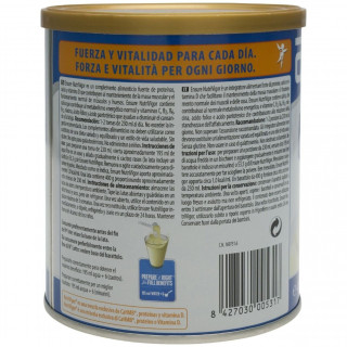 Ensure Nutrivigor Polvo Vainilla 400 G